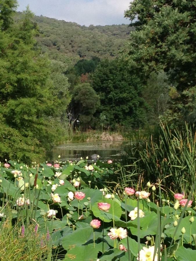 Les Restanques, Bastides Vue Golfe Saint Tropez *